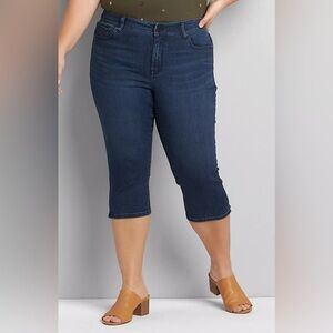 Lane Bryant Womens Jeans Jeggins Size 16cotton